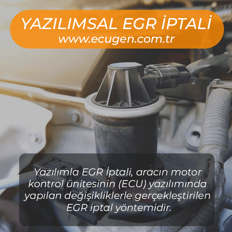 EGR İptali