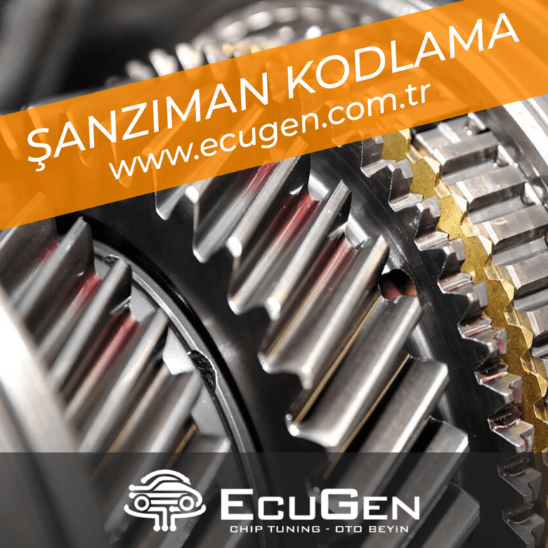 Şanzıman Kodlama - Şanzıman Beyni Programlama